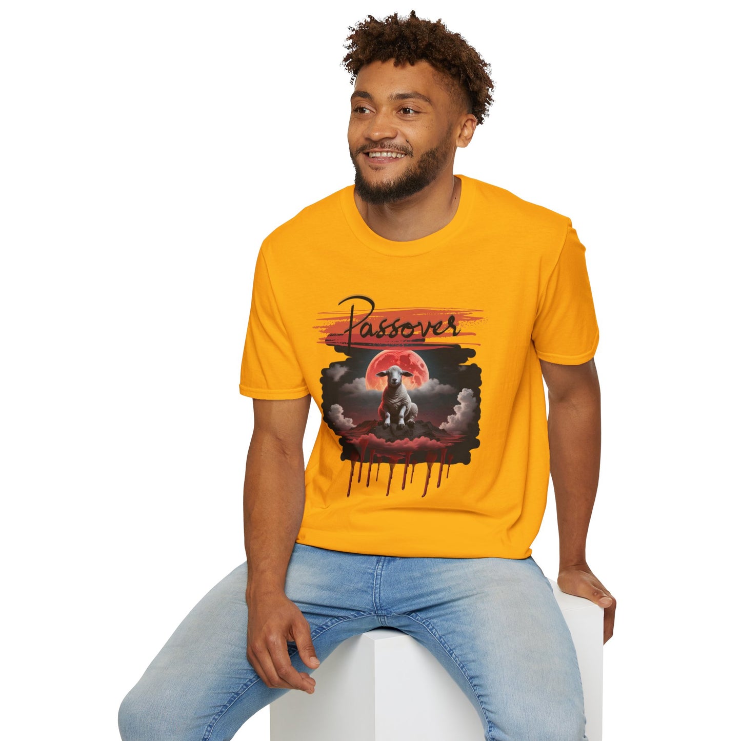 Passover Soft-style Black Font T-Shirt