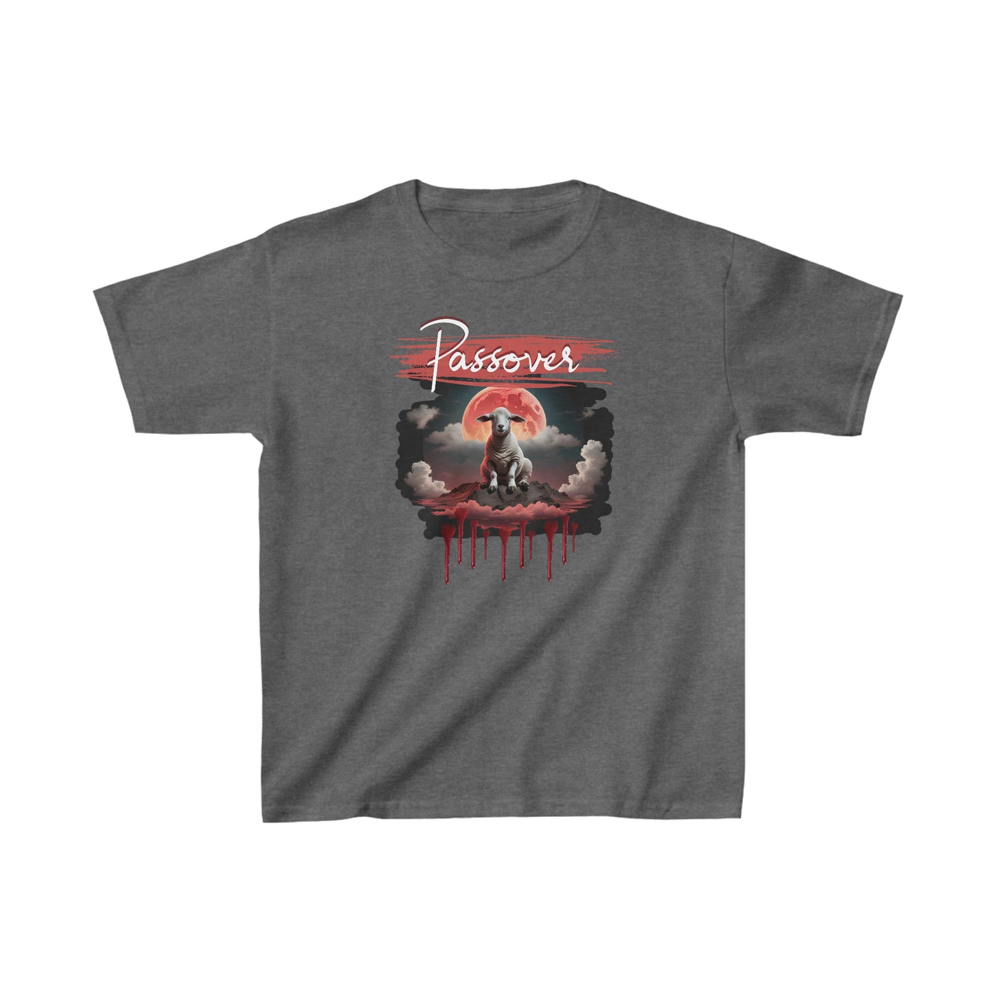 Youth Boys Passover soft style t-shirt
