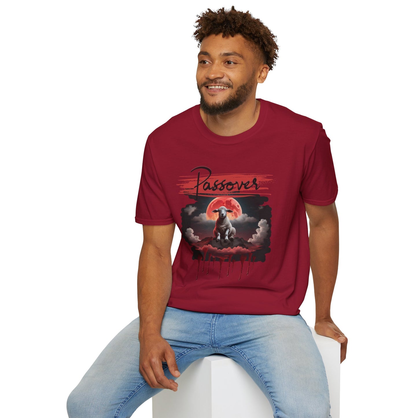 Passover  Soft-style Black Font  T-Shirt