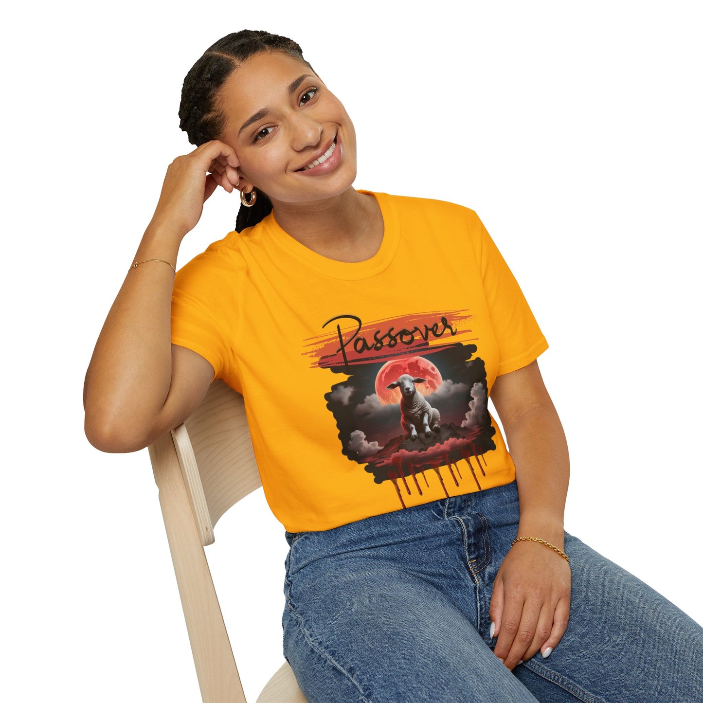 Passover  Soft-style Black Font  T-Shirt