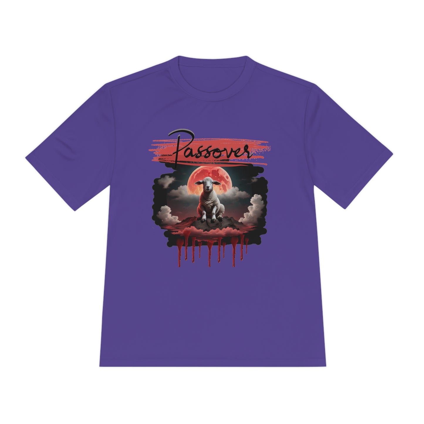 DRI-FIT Passover t-shirt