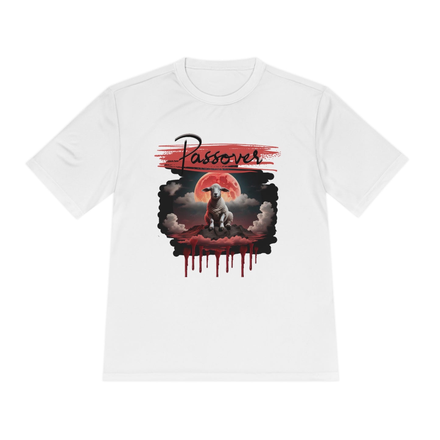 DRI-FIT Passover t-shirt
