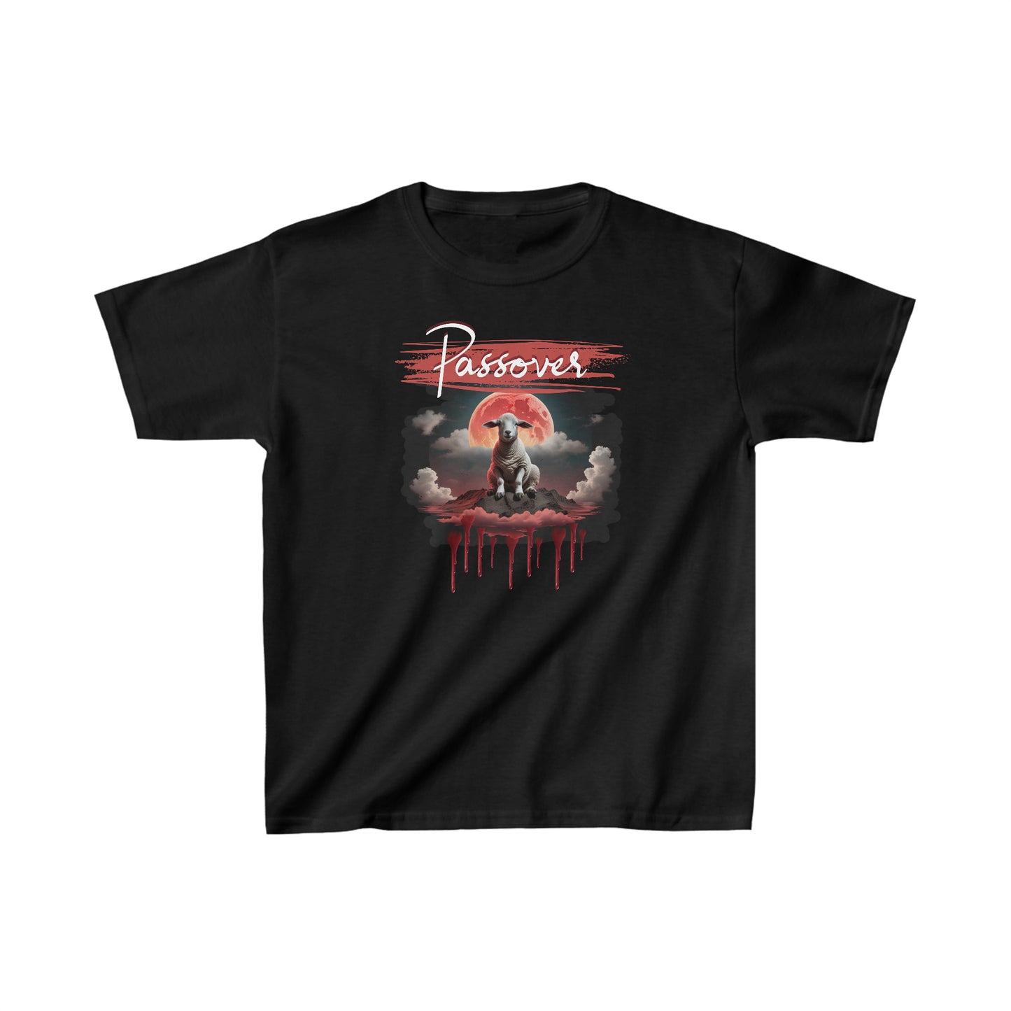 Youth Boys Passover soft style t-shirt