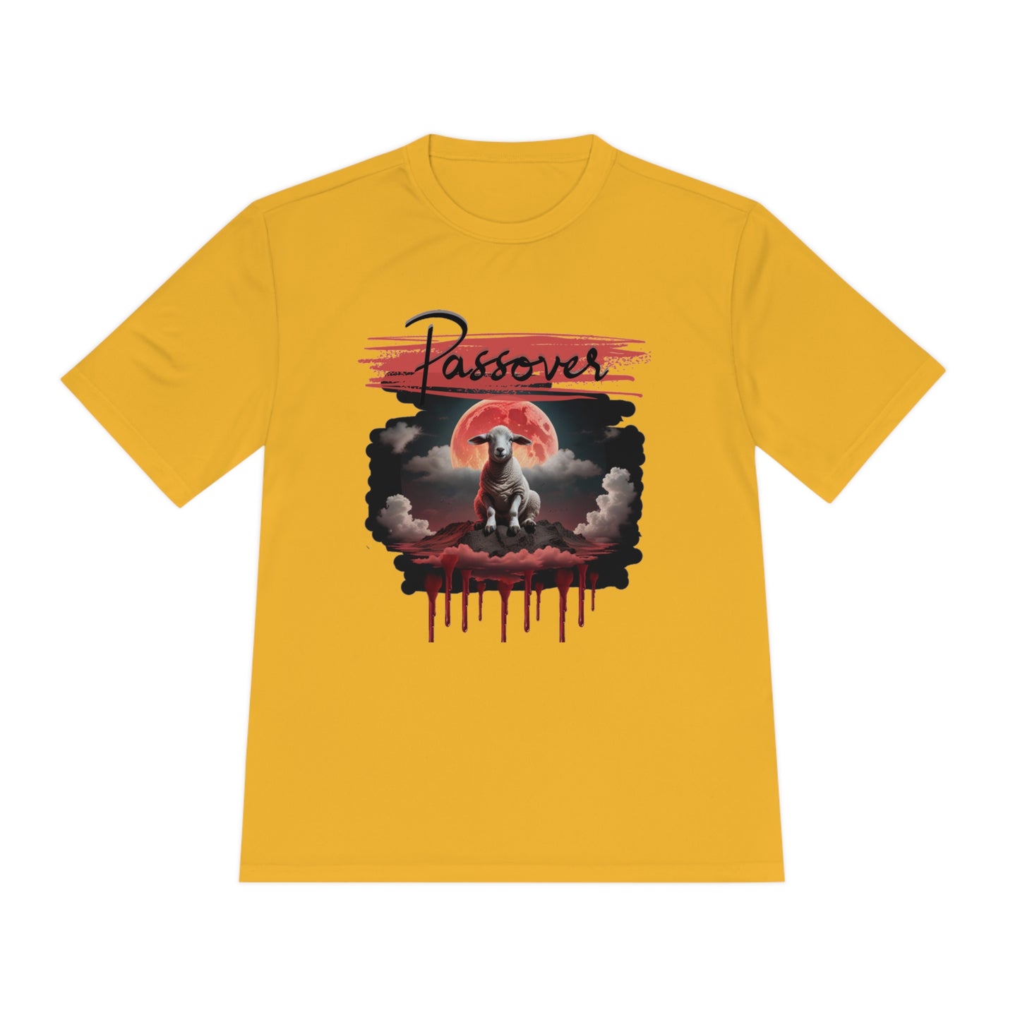 DRI-FIT Passover t-shirt