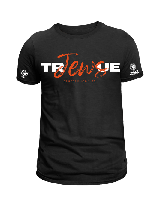 This T-shirt is not just a piece of clothing - True Jews T shirt