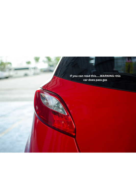 If you can read this.....WARNING: this car does pass gas vinyl decal